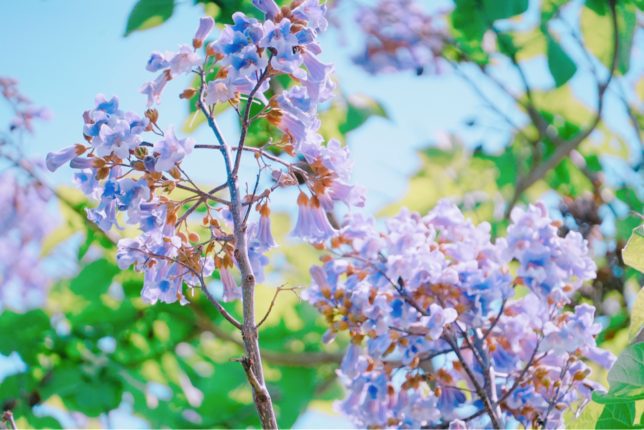 日語教室 日本的月份別稱 逸之日語教室