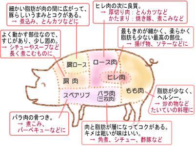 [日語教室]-豚什麼肉?