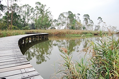 濕地公園