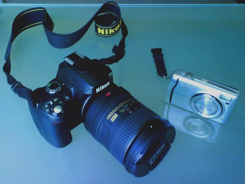 傻瓜機與大牛龜-我的攝影歷程