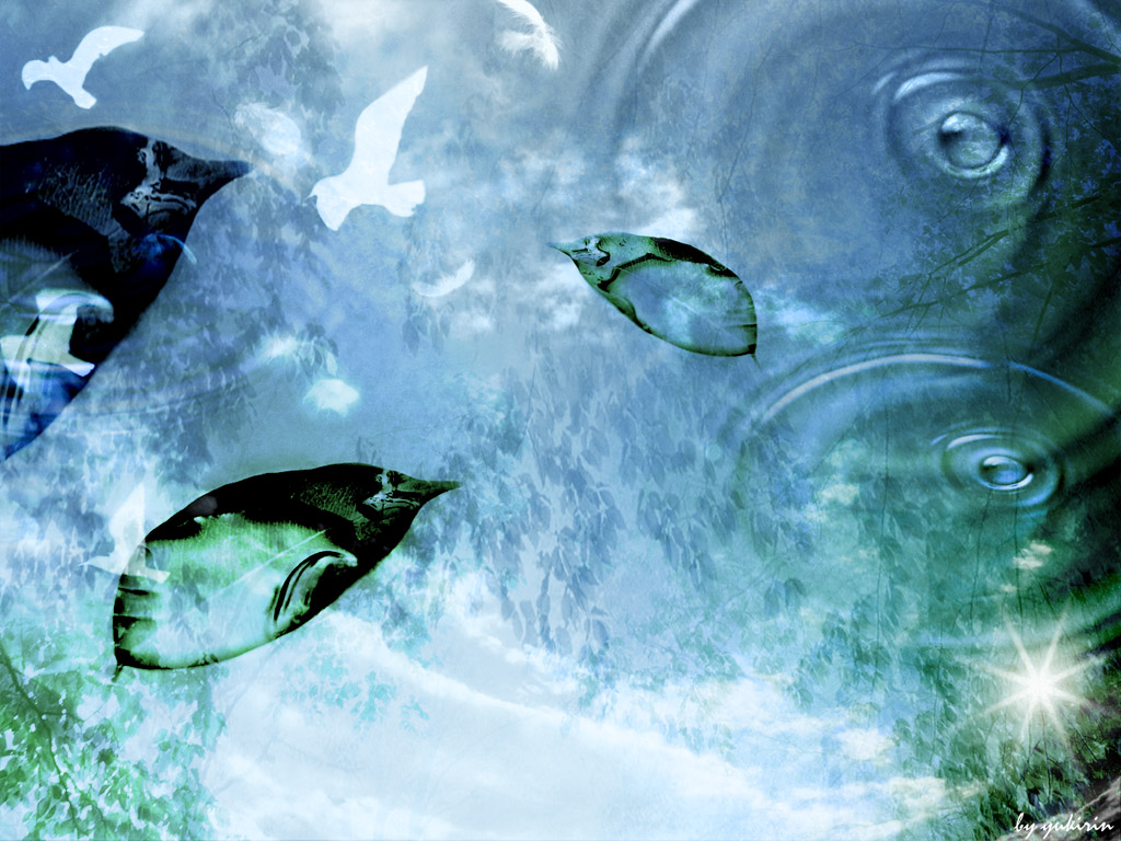 給未來自己的一封信