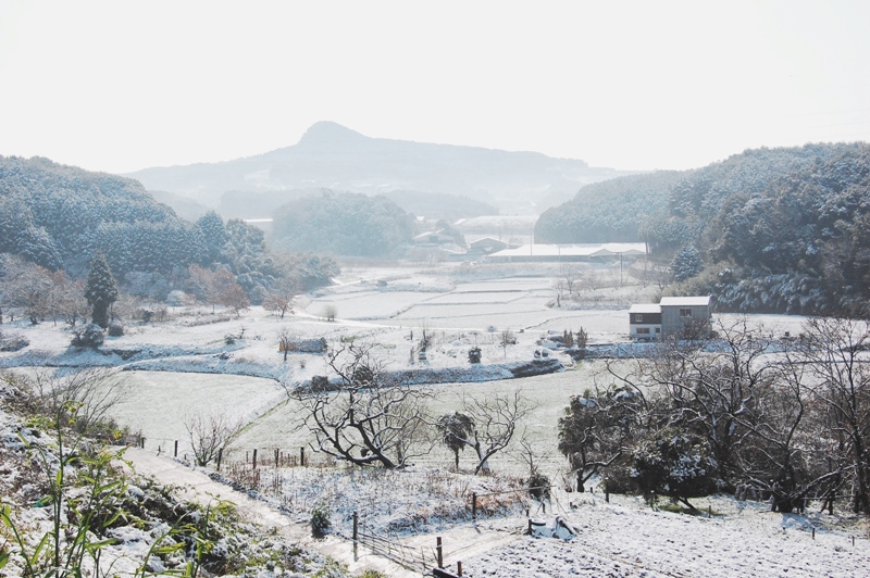 雪景